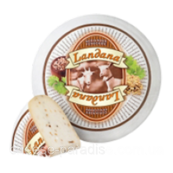 Сир з коріандром і пожитником(фенугрек) Landana 50%, 4kg 822424895 фото